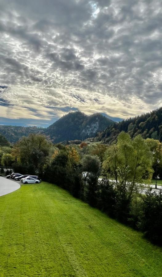Willa Folk Pieniny Szczawnica Bagian luar foto